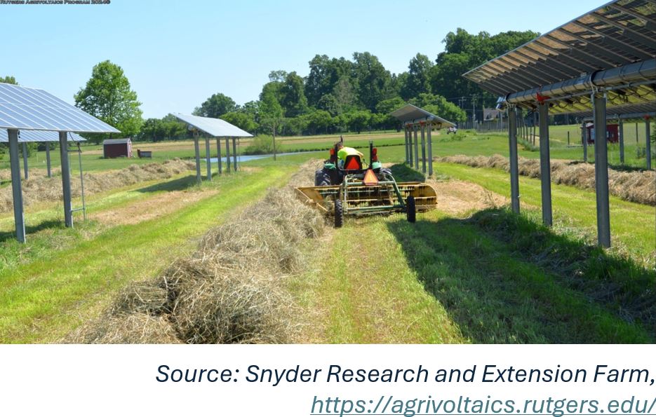 Source: Snyder Research and Extension Farm, https://agrivoltaics.rutgers.edu/